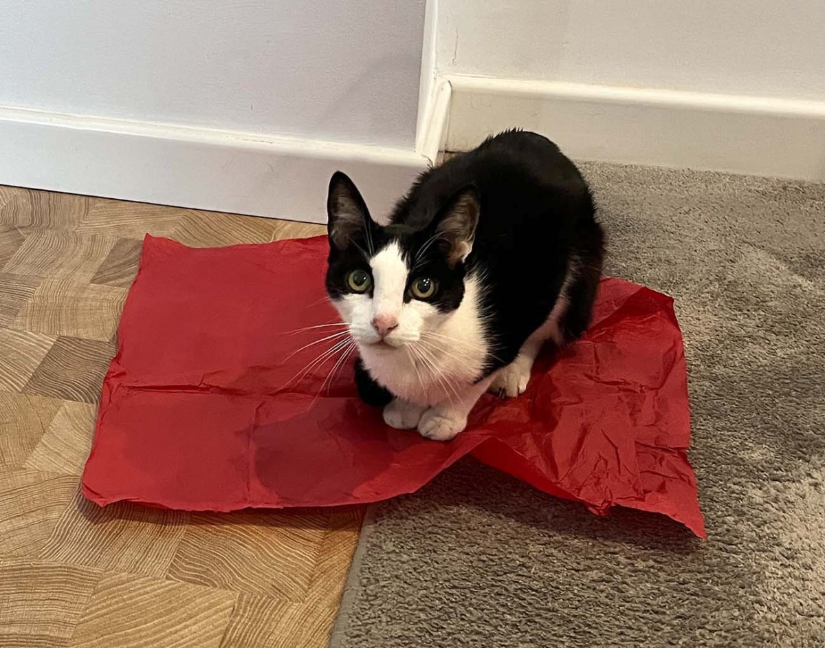 Open an old door / Abre una puerta vieja