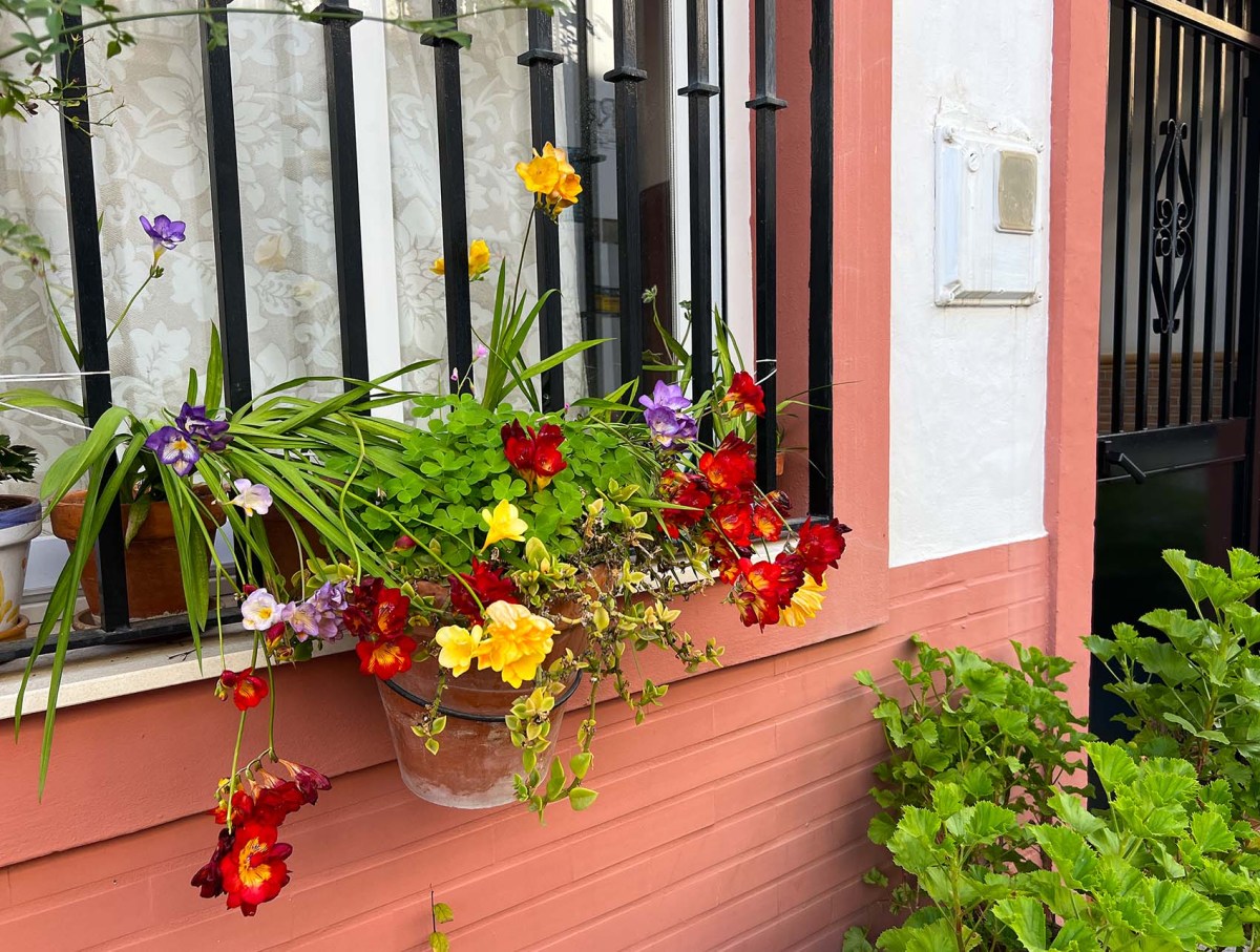 Hola Papi, smoking hogo, and a small gold horn / Hola Papi, hogo buenorro, y un pequeño cuerno de oro