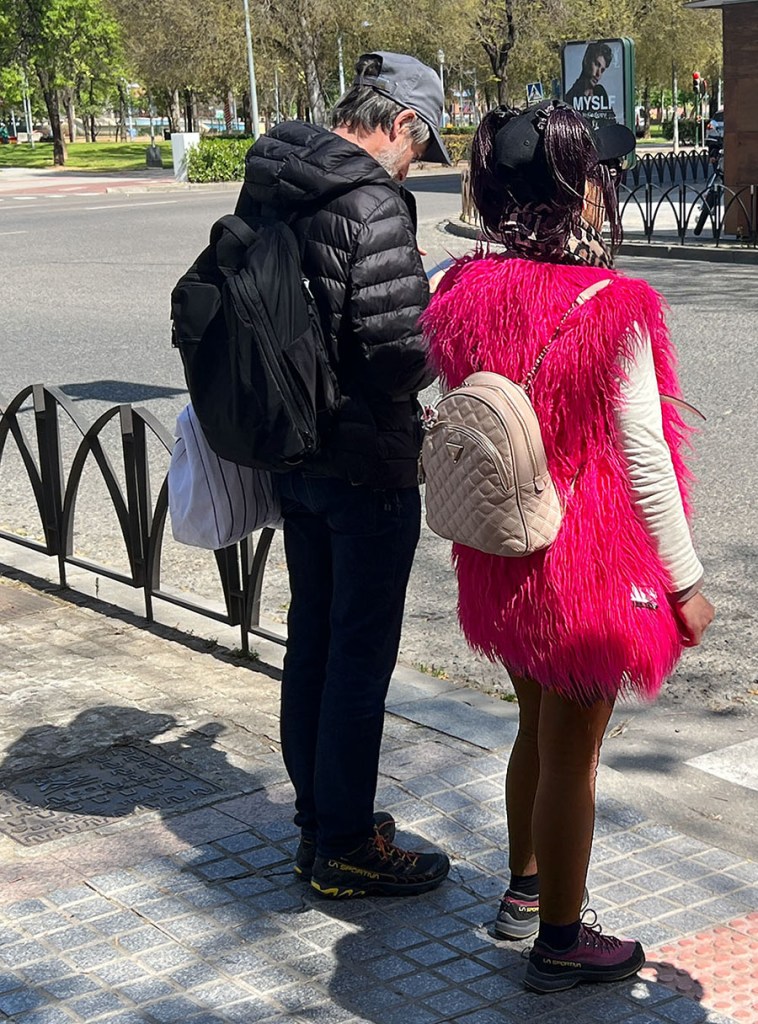 veterinarian, dudo, moose, fashion, vomit, chuck, kid brother, treatment, ecografia, abbott and costello,