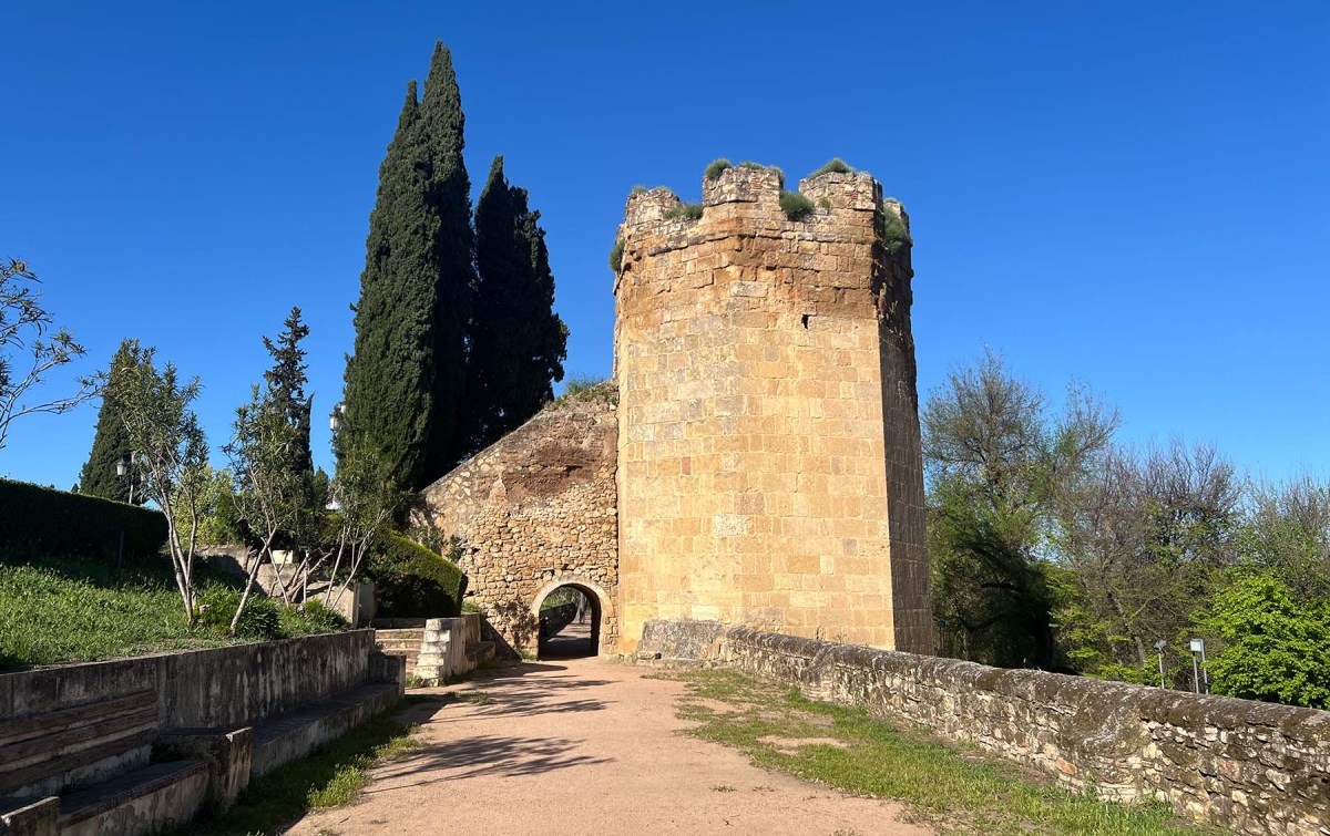 And never comes down / Y nunca se cae