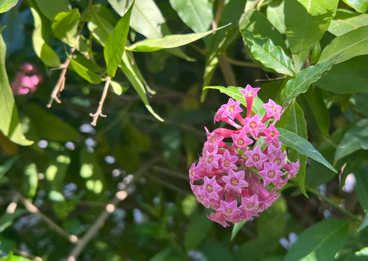 You want how much? / ¿Quieres cuánto?