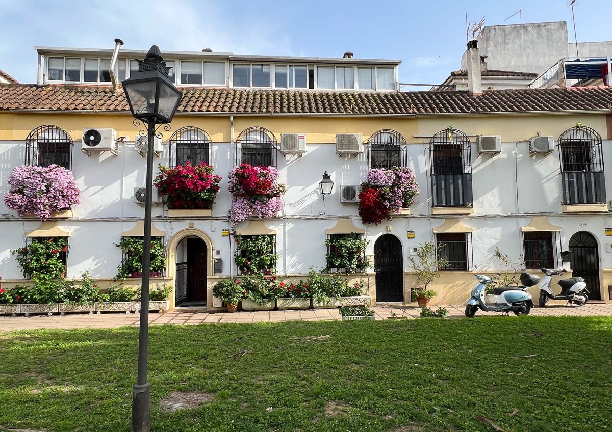 Last night, he wash the dishes / Anoche, él lava los platos