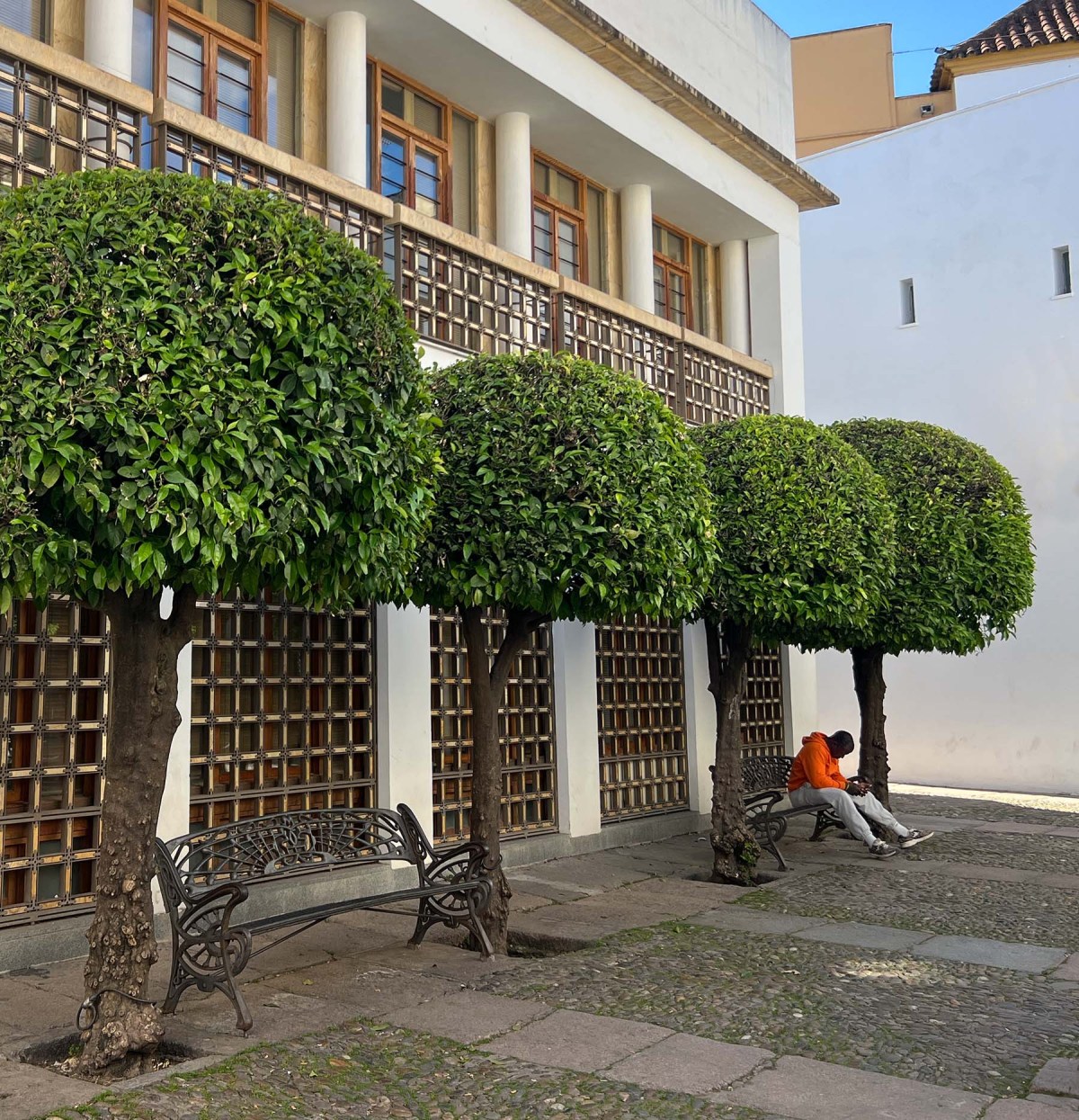 When flash and vibrate / Cuando parpadea y vibra