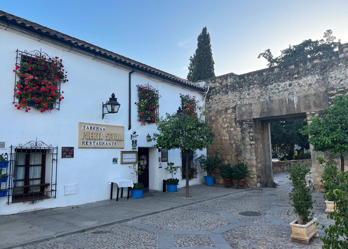 The Widow / La Viuda