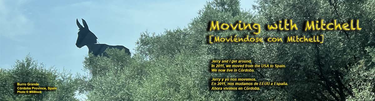 Moving with Mitchell