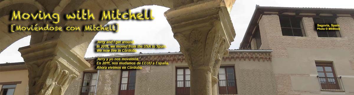 Moving with Mitchell