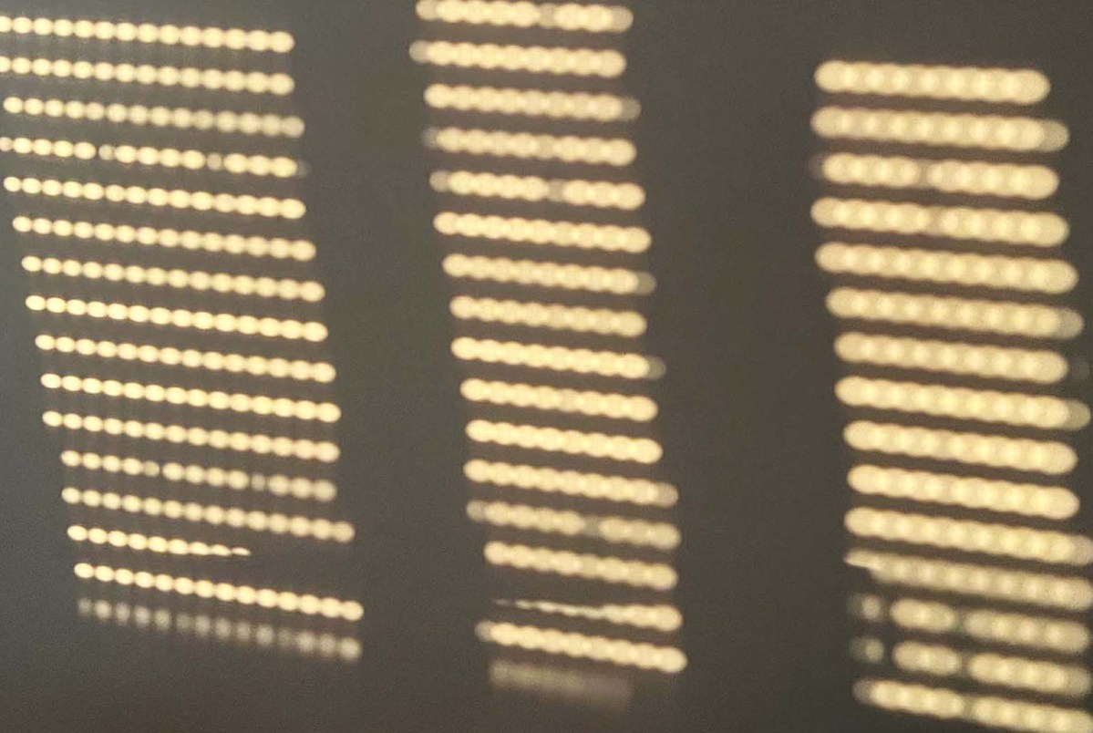 Shadowy / Sombreado